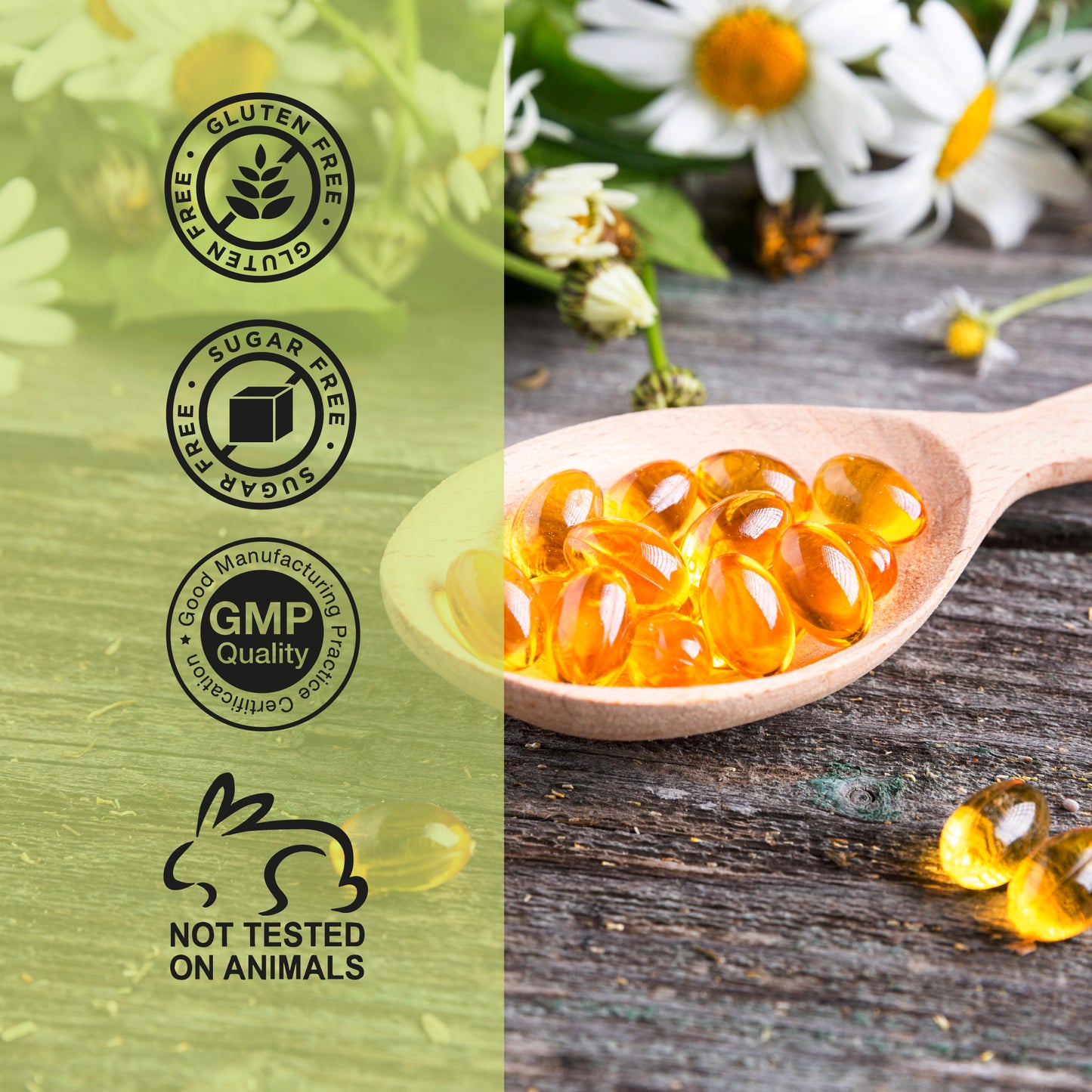 Defense Dose Oil of Oregano with Black Seed Oil